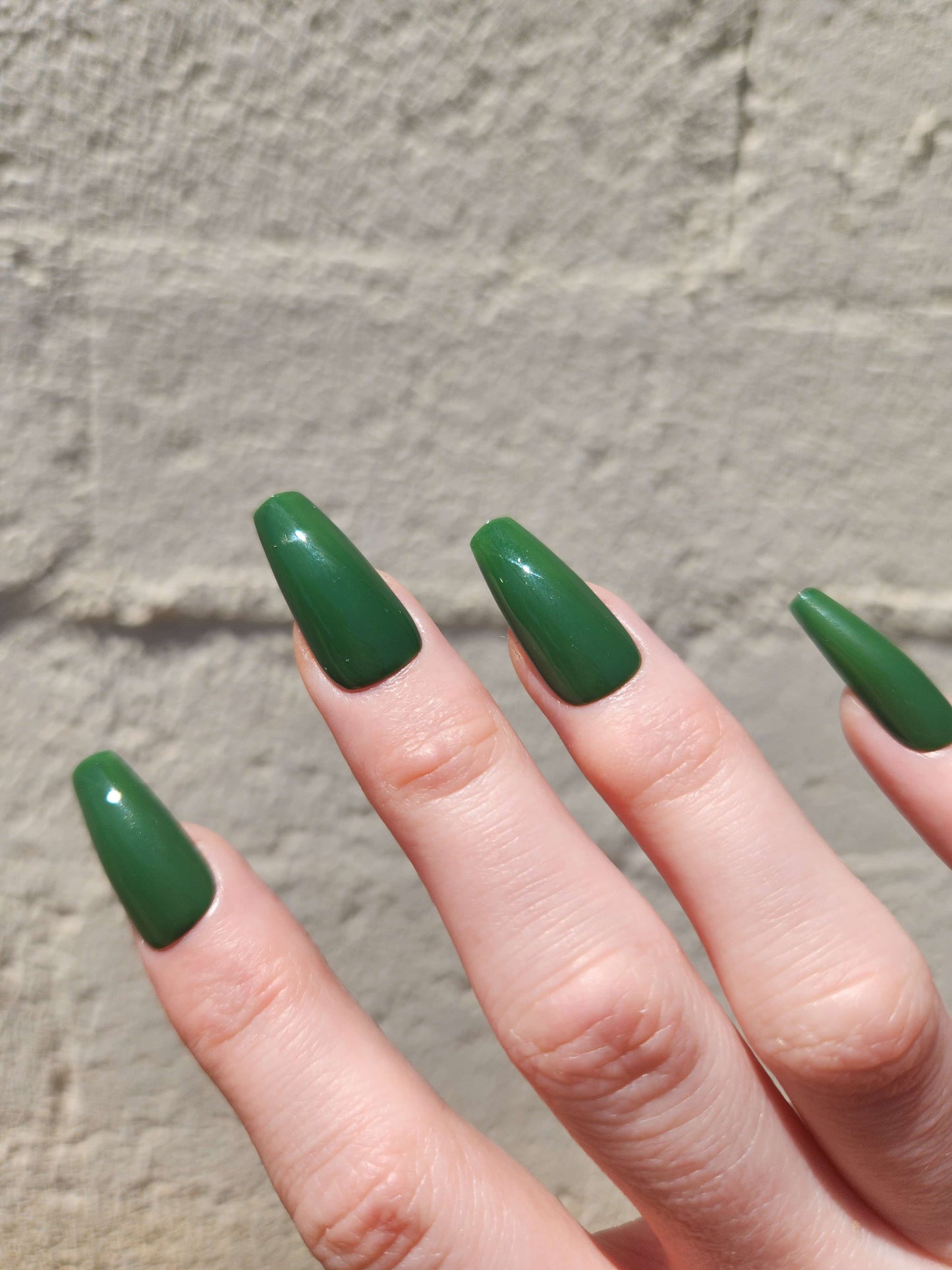 SIGNATURES - Solid Color Set